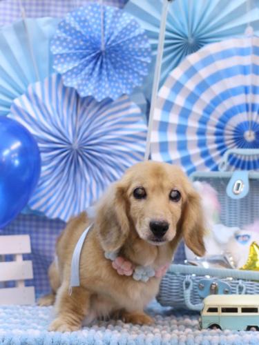 20231116バナナちゃん